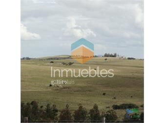 https://www.gallito.com.uy/campo-sobre-r12-y-a-menos-de-1-hora-de-punta-y-inmuebles-22537887