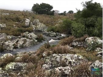 https://www.gallito.com.uy/25-has-excelente-ubicacion-ruta-12-arroyo-y-inmuebles-22538613
