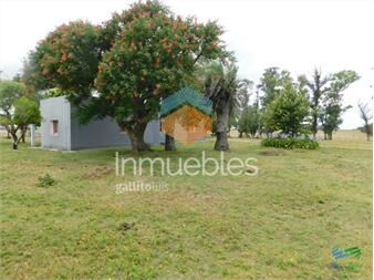 https://www.gallito.com.uy/31-has-con-casa-r9-frente-entrada-garzon-inmuebles-22538430