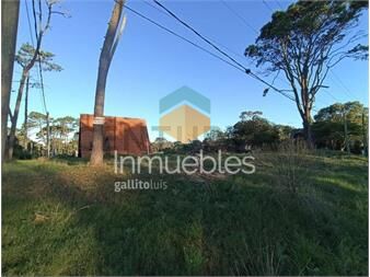https://www.gallito.com.uy/espectacular-terreno-en-la-paloma-la-anaconda-600-m2-inmuebles-26386625