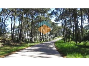 https://www.gallito.com.uy/terreno-amplio-en-punta-ballena-inmuebles-25042547