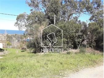 https://www.gallito.com.uy/venta-terreno-esquina-cerca-del-mar-en-punta-fria-inmuebles-27434591