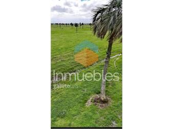 https://www.gallito.com.uy/125-hectareas-en-rincon-bravo-rocha-inmuebles-26597633