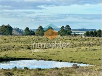 https://www.gallito.com.uy/venta-de-chacra-15-hectareas-en-anastasio-jose-ignacio-inmuebles-25611753