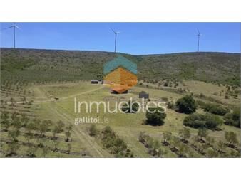 https://www.gallito.com.uy/venta-campo-con-olivos-3-molinos-eolicos-inmuebles-21602780