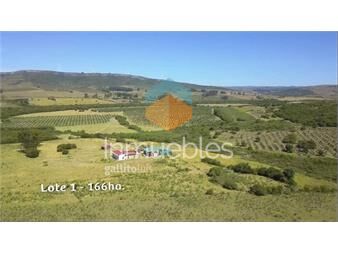 https://www.gallito.com.uy/venta-espectacular-campo-con-olivos-inmuebles-24896721
