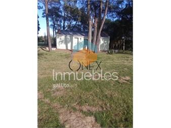 https://www.gallito.com.uy/venta-de-campo-de-15ha-en-partido-norte-con-casa-inmuebles-27426781