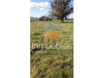 https://www.gallito.com.uy/venta-campo-29-hectareas-a-4-km-de-san-carlos-inmuebles-27426470