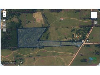 https://www.gallito.com.uy/vistas-increibles-7-has-en-el-corazon-de-la-inmuebles-25064194