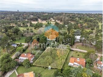 https://www.gallito.com.uy/lote-presenta-un-gran-potencial-para-un-comercial-inmuebles-26924294
