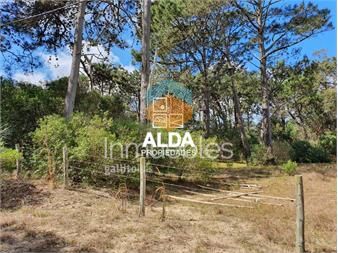 https://www.gallito.com.uy/terreno-en-punta-colorada-ref-te201714-inmuebles-20297572