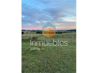 https://www.gallito.com.uy/chacras-en-venta-altos-de-jose-ignacio-inmuebles-27405931