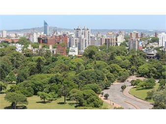 https://www.gallito.com.uy/edificio-proximo-av-18-de-julio-y-br-artigas-inmuebles-27447983