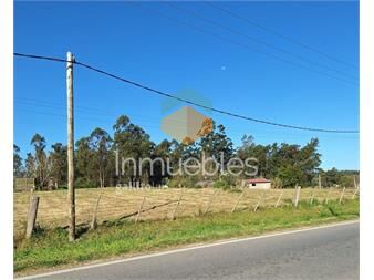 https://www.gallito.com.uy/alquiler-de-terreno-5500m²-sobre-ruta-34-km-40-inmuebles-27448182