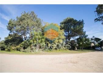 https://www.gallito.com.uy/venta-3-casas-paso-carrasco-ideal-inversion-inmuebles-27448352