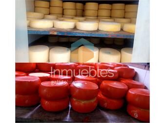 https://www.gallito.com.uy/venta-de-llave-distribuidora-de-quesos-en-malvin-inmuebles-27448278