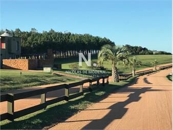 https://www.gallito.com.uy/oportunidad-de-terreno-en-las-garzas-inmuebles-25034151