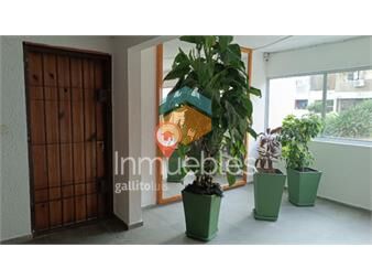 https://www.gallito.com.uy/alquiler-amplio-apartamento-de-3-dormitorios-con-inmuebles-27449439