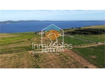 https://www.gallito.com.uy/venta-chacra-5-hectarias-en-complejo-laguna-del-inmuebles-27453144