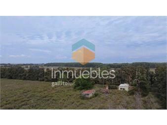 https://www.gallito.com.uy/chacra-en-venta-los-cerrillos-parador-tajes-inmuebles-26911354