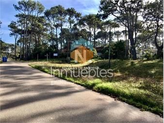 https://www.gallito.com.uy/gran-terreno-en-venta-ubicado-en-san-rafael-es-inmuebles-25042801