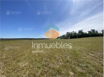 https://www.gallito.com.uy/venta-gran-terreno-sobre-laguna-del-diario-inmuebles-24049974