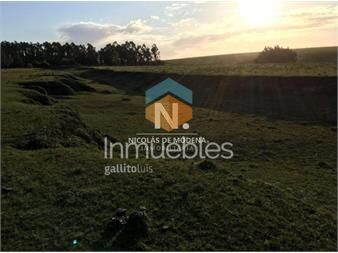 https://www.gallito.com.uy/chacra-en-jose-ignacio-punta-del-este-inmuebles-25042299