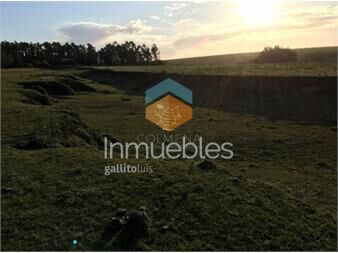 https://www.gallito.com.uy/chacra-en-jose-ignacio-punta-del-este-inmuebles-23974188