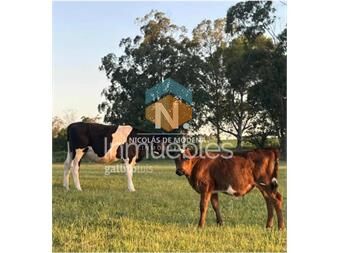 https://www.gallito.com.uy/chacra-en-venta-en-canelones-oportunidad-para-inmuebles-25035893