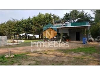 https://www.gallito.com.uy/chacra-en-venta-inmuebles-25033727