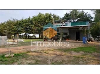 https://www.gallito.com.uy/chacra-en-venta-inmuebles-24202547