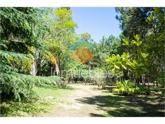 https://www.gallito.com.uy/venta-campo-con-casa-de-32-ha-ruta10-rocha-inmuebles-27091160