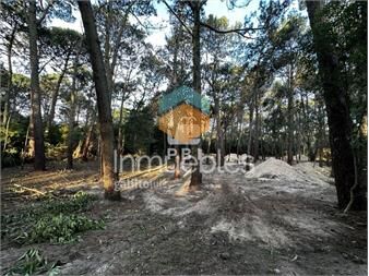 https://www.gallito.com.uy/terreno-en-portezuelo-bosque-punta-ballena-ref-inmuebles-24101257