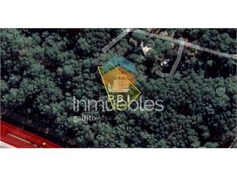 https://www.gallito.com.uy/venta-de-lote-en-portezuelo-bosque-punta-ballena-inmuebles-23123329