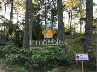 https://www.gallito.com.uy/terreno-en-venta-portezuelo-bosque-ref-inmuebles-23062895