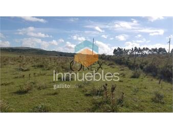https://www.gallito.com.uy/venta-de-chacras-de-5-y-6-ha-en-caracoles-inmuebles-27458921