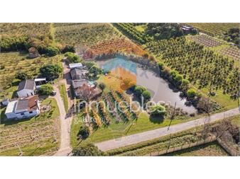 https://www.gallito.com.uy/venta-chacra-en-melilla-4-7-has-cno-los-pirinchos-inmuebles-27468575