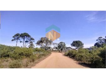 https://www.gallito.com.uy/vende-terreno-en-club-del-lago-punta-ballena-inmuebles-25417582