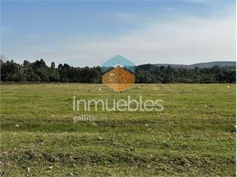 https://www.gallito.com.uy/venta-lote-para-fraccionamiento-san-carlos-inmuebles-27469154