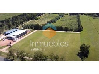 https://www.gallito.com.uy/terreno-en-venta-sobre-ruta-39-comercial-industrial-inmuebles-24481109