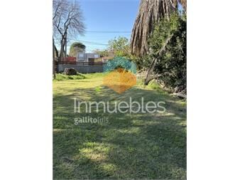 https://www.gallito.com.uy/yaãez-pinzon-esquina-molina-casa-con-terreno-inmuebles-27469411