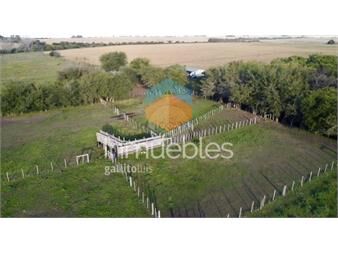 https://www.gallito.com.uy/campo-en-venta-de-264ha-en-soriano-zona-del-cololo-inmuebles-27469469