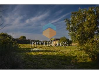 https://www.gallito.com.uy/venta-chacra-en-zona-con-vistas-dos-casas-inmuebles-27473222