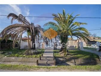 https://www.gallito.com.uy/alquiler-de-localcafe-y-vivienda-lagomar-sur-inmuebles-27473141