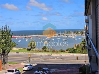 https://www.gallito.com.uy/venta-apto-pocitos-2-dorm-tza-gge-inmuebles-27026682