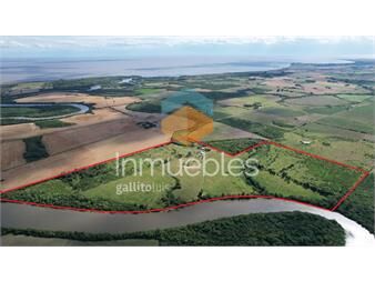 https://www.gallito.com.uy/campo-de-63-has-en-boca-del-rosario-colonia-uruguay-inmuebles-27473435
