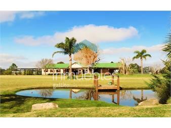 https://www.gallito.com.uy/casa-en-alquiler-con-amplio-jardã­n-en-el-quijote-inmuebles-26882315
