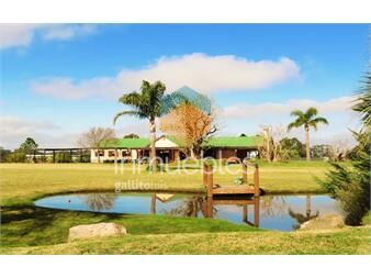 https://www.gallito.com.uy/alquiler-hermosa-casa-cerca-del-clubhouse-en-el-quijote-cha-inmuebles-25417822