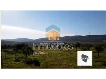 https://www.gallito.com.uy/en-venta-excelente-campo-olivicola-de-54has-en-inmuebles-27479016