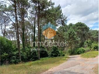 https://www.gallito.com.uy/terreno-venta-club-del-lago-ref-pbi14201-inmuebles-27479340